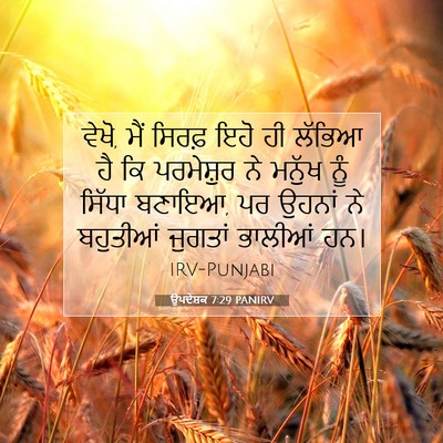 Picture 07 - ਉਪਦੇਸ਼ਕ 7:29 PANIRV - ਵੇਖੋ, ਮੈਂ ਸਿਰਫ਼ ਇਹੋ - Bible Verse Picture