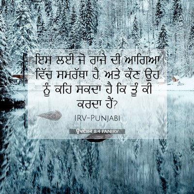 Picture 07 - ਉਪਦੇਸ਼ਕ 8:4 PANIRV - ਇਸ ਲਈ ਜੋ ਰਾਜੇ ਦੀ - Bible Verse Picture
