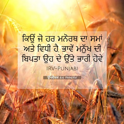 Picture 07 - ਉਪਦੇਸ਼ਕ 8:6 PANIRV - ਕਿਉਂ ਜੋ ਹਰ ਮਨੋਰਥ ਦਾ - Bible Verse Picture