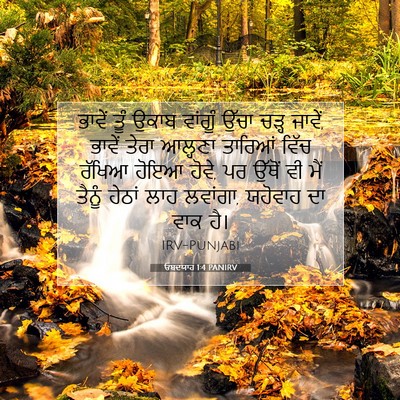 Picture 07 - ਓਬਦਯਾਹ 1:4 PANIRV - ਭਾਵੇਂ ਤੂੰ ਉਕਾਬ - Bible Verse Picture