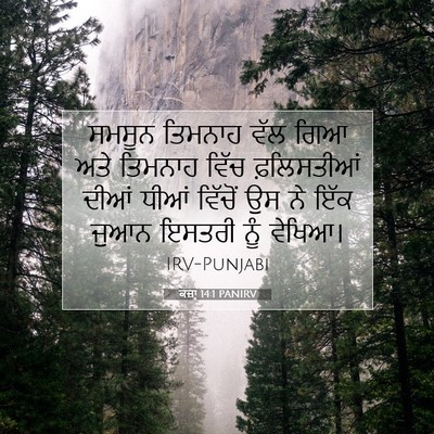 Picture 07 - ਕਜ਼ਾૃ 14:1 PANIRV - ਸਮਸੂਨ ਤਿਮਨਾਹ ਵੱਲ - Bible Verse Picture