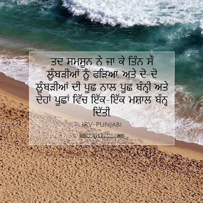 Picture 07 - ਕਜ਼ਾૃ 15:4 PANIRV - ਤਦ ਸਮਸੂਨ ਨੇ ਜਾ ਕੇ - Bible Verse Picture