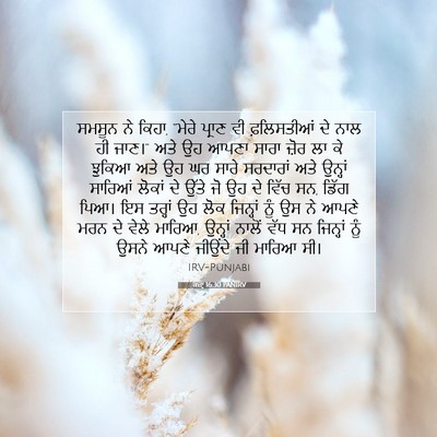 Picture 07 - ਕਜ਼ਾૃ 16:30 PANIRV - ਸਮਸੂਨ ਨੇ ਕਿਹਾ, - Bible Verse Picture