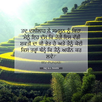 Picture 07 - ਕਜ਼ਾૃ 16:6 PANIRV - ਤਦ ਦਲੀਲਾਹ ਨੇ ਸਮਸੂਨ - Bible Verse Picture