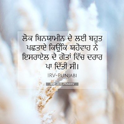 Picture 07 - ਕਜ਼ਾૃ 21:15 PANIRV - ਲੋਕ ਬਿਨਯਾਮੀਨ ਦੇ ਲਈ - Bible Verse Picture