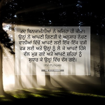 Picture 07 - ਕਜ਼ਾૃ 21:23 PANIRV - ਤਦ ਬਿਨਯਾਮੀਨੀਆਂ ਨੇ - Bible Verse Picture