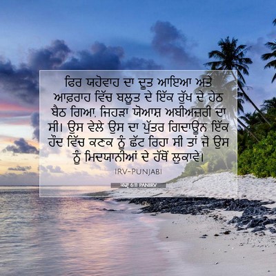 Picture 07 - ਕਜ਼ਾૃ 6:11 PANIRV - ਫਿਰ ਯਹੋਵਾਹ ਦਾ ਦੂਤ - Bible Verse Picture