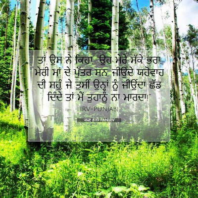 Picture 07 - ਕਜ਼ਾૃ 8:19 PANIRV - ਤਾਂ ਉਸ ਨੇ ਕਿਹਾ, “ਉਹ - Bible Verse Picture