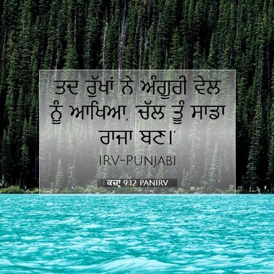 Picture 07 - ਕਜ਼ਾૃ 9:12 PANIRV - ਤਦ ਰੁੱਖਾਂ ਨੇ - Bible Verse Picture