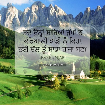 Picture 07 - ਕਜ਼ਾૃ 9:14 PANIRV - ਤਦ ਉਨ੍ਹਾਂ ਸਾਰਿਆਂ - Bible Verse Picture