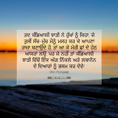 Picture 07 - ਕਜ਼ਾૃ 9:15 PANIRV - ਤਦ ਕੰਡਿਆਲੀ ਝਾੜੀ ਨੇ - Bible Verse Picture