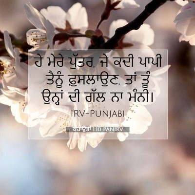 Picture 07 - ਕਹਾਉਤਾਂ 1:10 PANIRV - ਹੇ ਮੇਰੇ ਪੁੱਤਰ, ਜੇ - Bible Verse Picture