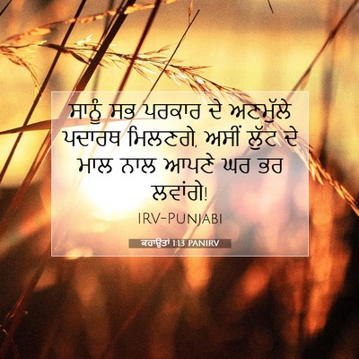 Picture 07 - ਕਹਾਉਤਾਂ 1:13 PANIRV - ਸਾਨੂੰ ਸਭ ਪਰਕਾਰ ਦੇ - Bible Verse Picture