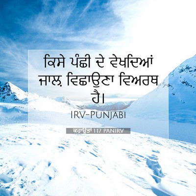 Picture 07 - ਕਹਾਉਤਾਂ 1:17 PANIRV - ਕਿਸੇ ਪੰਛੀ ਦੇ - Bible Verse Picture