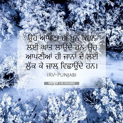Picture 07 - ਕਹਾਉਤਾਂ 1:18 PANIRV - ਉਹ ਆਪਣਾ ਹੀ ਖ਼ੂਨ ਕਰਨ - Bible Verse Picture