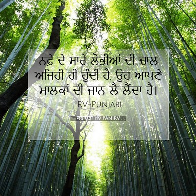 Picture 07 - ਕਹਾਉਤਾਂ 1:19 PANIRV - ਨਫ਼ੇ ਦੇ ਸਾਰੇ - Bible Verse Picture