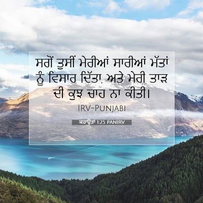 Picture 07 - ਕਹਾਉਤਾਂ 1:25 PANIRV - ਸਗੋਂ ਤੁਸੀਂ ਮੇਰੀਆਂ - Bible Verse Picture