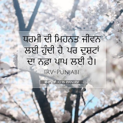 Picture 07 - ਕਹਾਉਤਾਂ 10:16 PANIRV - ਧਰਮੀ ਦੀ ਮਿਹਨਤ ਜੀਵਨ - Bible Verse Picture