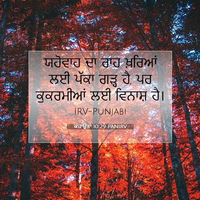 Picture 07 - ਕਹਾਉਤਾਂ 10:29 PANIRV - ਯਹੋਵਾਹ ਦਾ ਰਾਹ - Bible Verse Picture