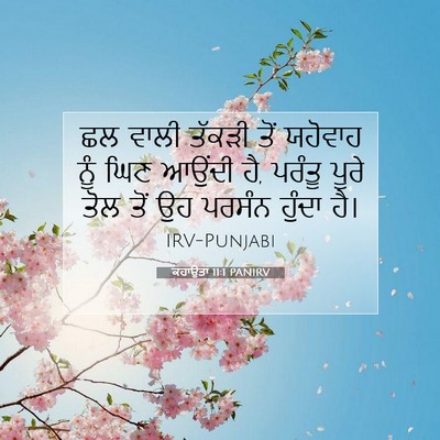 Picture 07 - ਕਹਾਉਤਾਂ 11:1 PANIRV - ਛਲ ਵਾਲੀ ਤੱਕੜੀ ਤੋਂ - Bible Verse Picture