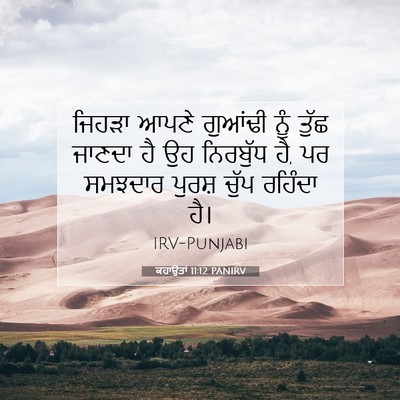Picture 07 - ਕਹਾਉਤਾਂ 11:12 PANIRV - ਜਿਹੜਾ ਆਪਣੇ ਗੁਆਂਢੀ - Bible Verse Picture