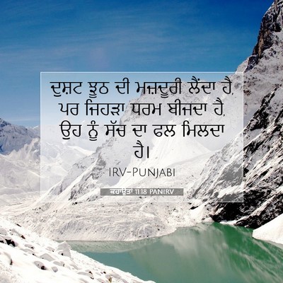 Picture 07 - ਕਹਾਉਤਾਂ 11:18 PANIRV - ਦੁਸ਼ਟ ਝੂਠ ਦੀ - Bible Verse Picture