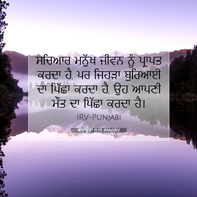 Picture 07 - ਕਹਾਉਤਾਂ 11:19 PANIRV - ਸਚਿਆਰ ਮਨੁੱਖ ਜੀਵਨ - Bible Verse Picture