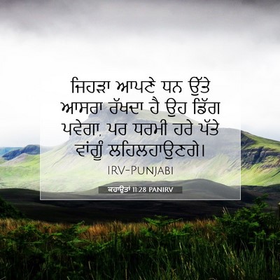 Picture 07 - ਕਹਾਉਤਾਂ 11:28 PANIRV - ਜਿਹੜਾ ਆਪਣੇ ਧਨ ਉੱਤੇ - Bible Verse Picture