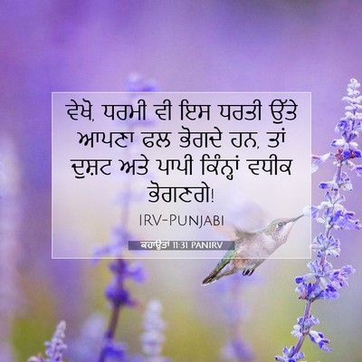Picture 07 - ਕਹਾਉਤਾਂ 11:31 PANIRV - ਵੇਖੋ, ਧਰਮੀ ਵੀ ਇਸ - Bible Verse Picture