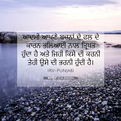 Picture 07 - ਕਹਾਉਤਾਂ 12:14 PANIRV - ਆਦਮੀ ਆਪਣੇ ਬਚਨਾਂ ਦੇ - Bible Verse Picture