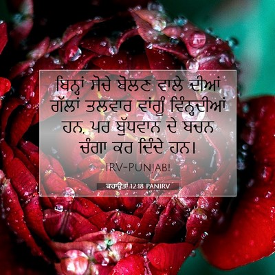 Picture 07 - ਕਹਾਉਤਾਂ 12:18 PANIRV - ਬਿਨ੍ਹਾਂ ਸੋਚੇ ਬੋਲਣ - Bible Verse Picture