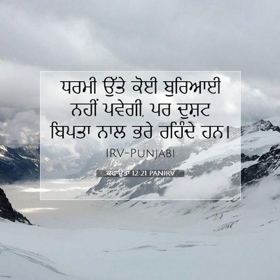 Picture 07 - ਕਹਾਉਤਾਂ 12:21 PANIRV - ਧਰਮੀ ਉੱਤੇ ਕੋਈ - Bible Verse Picture