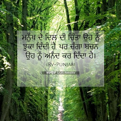 Picture 07 - ਕਹਾਉਤਾਂ 12:25 PANIRV - ਮਨੁੱਖ ਦੇ ਦਿਲ ਦੀ - Bible Verse Picture