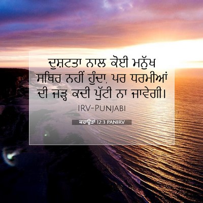Picture 07 - ਕਹਾਉਤਾਂ 12:3 PANIRV - ਦੁਸ਼ਟਤਾ ਨਾਲ ਕੋਈ - Bible Verse Picture