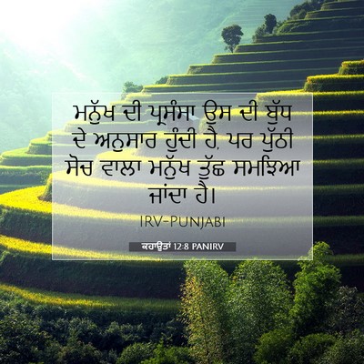 Picture 07 - ਕਹਾਉਤਾਂ 12:8 PANIRV - ਮਨੁੱਖ ਦੀ ਪ੍ਰਸੰਸਾ - Bible Verse Picture