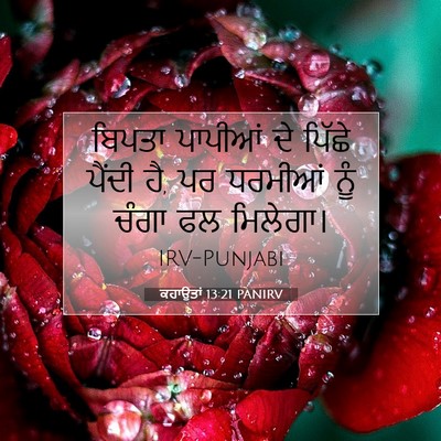 Picture 07 - ਕਹਾਉਤਾਂ 13:21 PANIRV - ਬਿਪਤਾ ਪਾਪੀਆਂ ਦੇ - Bible Verse Picture