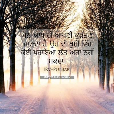 Picture 07 - ਕਹਾਉਤਾਂ 14:10 PANIRV - ਮਨ ਆਪ ਹੀ ਆਪਣੀ - Bible Verse Picture