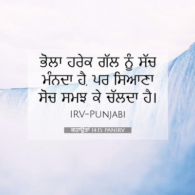 Picture 07 - ਕਹਾਉਤਾਂ 14:15 PANIRV - ਭੋਲਾ ਹਰੇਕ ਗੱਲ ਨੂੰ - Bible Verse Picture