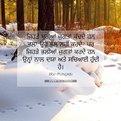 Picture 07 - ਕਹਾਉਤਾਂ 14:22 PANIRV - ਜਿਹੜੇ ਬੁਰੀਆਂ - Bible Verse Picture
