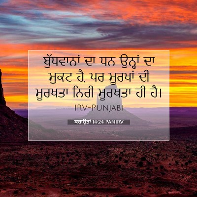 Picture 07 - ਕਹਾਉਤਾਂ 14:24 PANIRV - ਬੁੱਧਵਾਨਾਂ ਦਾ ਧਨ - Bible Verse Picture