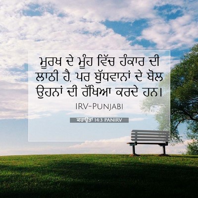 Picture 07 - ਕਹਾਉਤਾਂ 14:3 PANIRV - ਮੂਰਖ ਦੇ ਮੂੰਹ ਵਿੱਚ - Bible Verse Picture