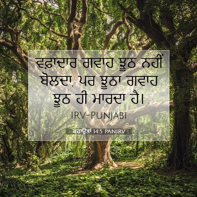 Picture 07 - ਕਹਾਉਤਾਂ 14:5 PANIRV - ਵਫ਼ਾਦਾਰ ਗਵਾਹ ਝੂਠ - Bible Verse Picture