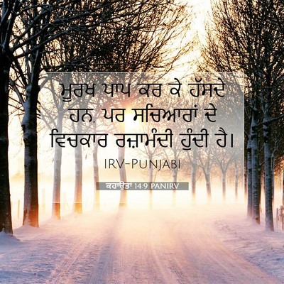 Picture 07 - ਕਹਾਉਤਾਂ 14:9 PANIRV - ਮੂਰਖ ਪਾਪ ਕਰ ਕੇ - Bible Verse Picture