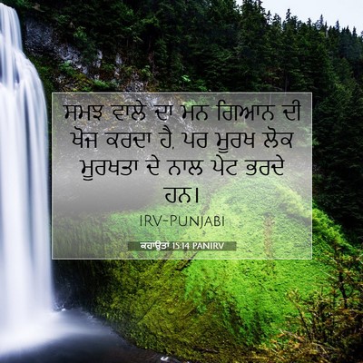 Picture 07 - ਕਹਾਉਤਾਂ 15:14 PANIRV - ਸਮਝ ਵਾਲੇ ਦਾ ਮਨ ਗਿਆਨ - Bible Verse Picture