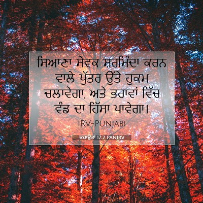 Picture 07 - ਕਹਾਉਤਾਂ 17:2 PANIRV - ਸਿਆਣਾ ਸੇਵਕ - Bible Verse Picture