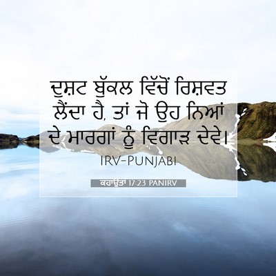 Picture 07 - ਕਹਾਉਤਾਂ 17:23 PANIRV - ਦੁਸ਼ਟ ਬੁੱਕਲ - Bible Verse Picture