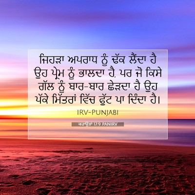 Picture 07 - ਕਹਾਉਤਾਂ 17:9 PANIRV - ਜਿਹੜਾ ਅਪਰਾਧ ਨੂੰ - Bible Verse Picture