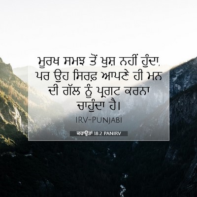Picture 07 - ਕਹਾਉਤਾਂ 18:2 PANIRV - ਮੂਰਖ ਸਮਝ ਤੋਂ ਖੁਸ਼ - Bible Verse Picture