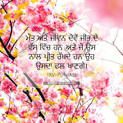 Picture 07 - ਕਹਾਉਤਾਂ 18:21 PANIRV - ਮੌਤ ਅਤੇ ਜੀਵਨ ਦੋਵੇਂ - Bible Verse Picture