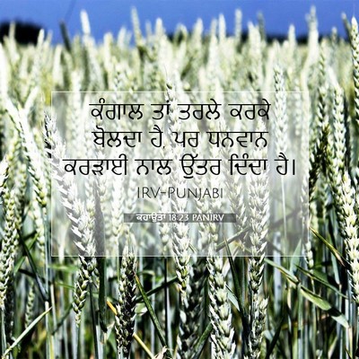 Picture 07 - ਕਹਾਉਤਾਂ 18:23 PANIRV - ਕੰਗਾਲ ਤਾਂ ਤਰਲੇ - Bible Verse Picture